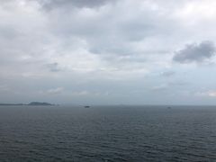 -杨梅坑