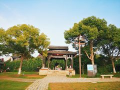 -沙家浜风景区