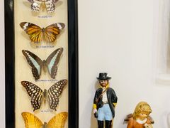 -恋物百货商店(华侨城店)