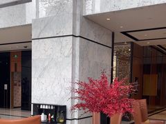 -成都尼依格罗酒店