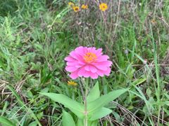 -盘龙城国家考古遗址公园