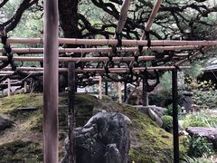 -中村藤吉(本店)