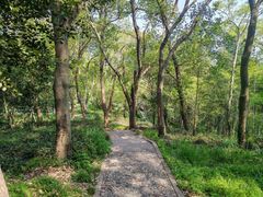 -上海佘山国家森林公园西佘山园