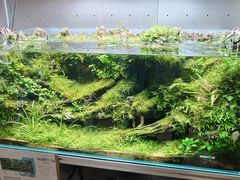 -瑞虹新天地月亮湾