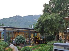 -蘇河湾·新鲁菜·泰山宴(泰山店)