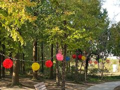 -上海长兴岛郊野公园