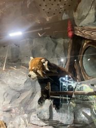 -Zoolung Zoolung动物主题公园(海信广场店)