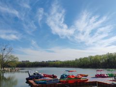 -大兴滨河森林公园