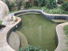 -太白山御龙湾温泉