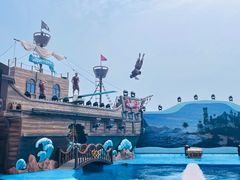 -海合安青岛极地海洋公园
