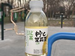 -五环公园