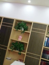 -WENDY·温迪皮肤管理