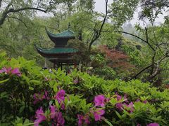 -岳麓山风景名胜区