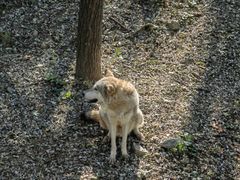 -石家庄市动物园