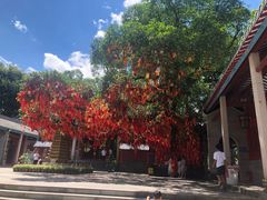 -国恩寺