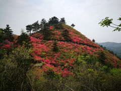 -木兰云雾山