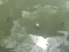 -南汇一王庙道观