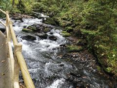 -凤凰山国家森林公园