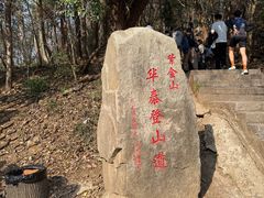 -紫金山山顶公园