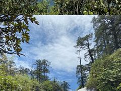 -瓦屋山景区