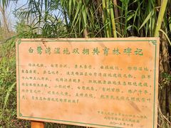 -白鹭湾湿地公园