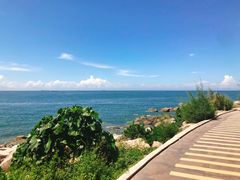 -广东惠东海龟国家级自然保护区