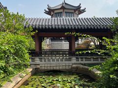 -广东花都湖国家湿地公园