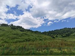-关山草原