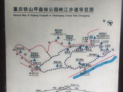 -铁山坪森林公园