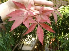 -毛泽东同志旧居