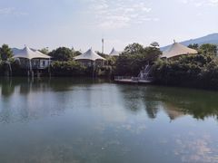 -帐篷客·溪龙茶谷度假酒店