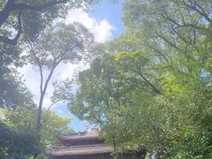 -天一阁博物院