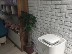 -舞蕾舞蹈(特长生校区)