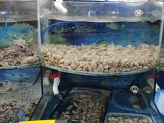 -鑫渔港海鲜本地菜·山海关浑锅(东戴河店)