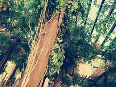 -华谊兄弟（长沙）电影小镇