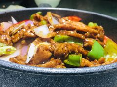 -鸭王烤鸭店(三里河店)