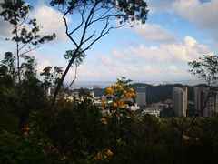 -板樟山森林公园