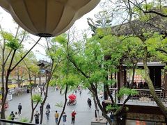 -奇芳阁·百年清真南京菜(夫子庙店)