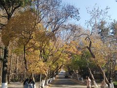 -八大关-近代建筑