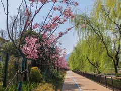 -宋宴(虎跑店)