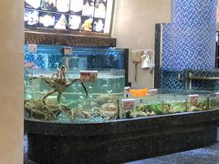 水产区-凯逸轩·匠心粤菜(中城名仕汇店)