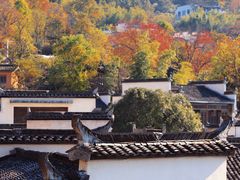 -塔川景区