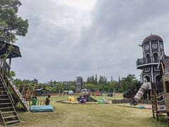 -上海长兴岛郊野公园