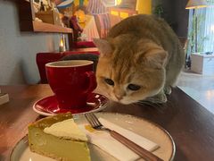 -咖法森林·咖啡  酒吧(天河店)