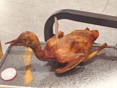 -羽鸽集·乳鸽专门店·地道顺德菜(岭南站店)