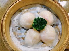 皇子虾饺皇-点心皇子茶餐厅(万国大都会店)