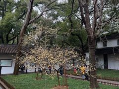 -西园寺素食(西园弄戒幢律寺店)