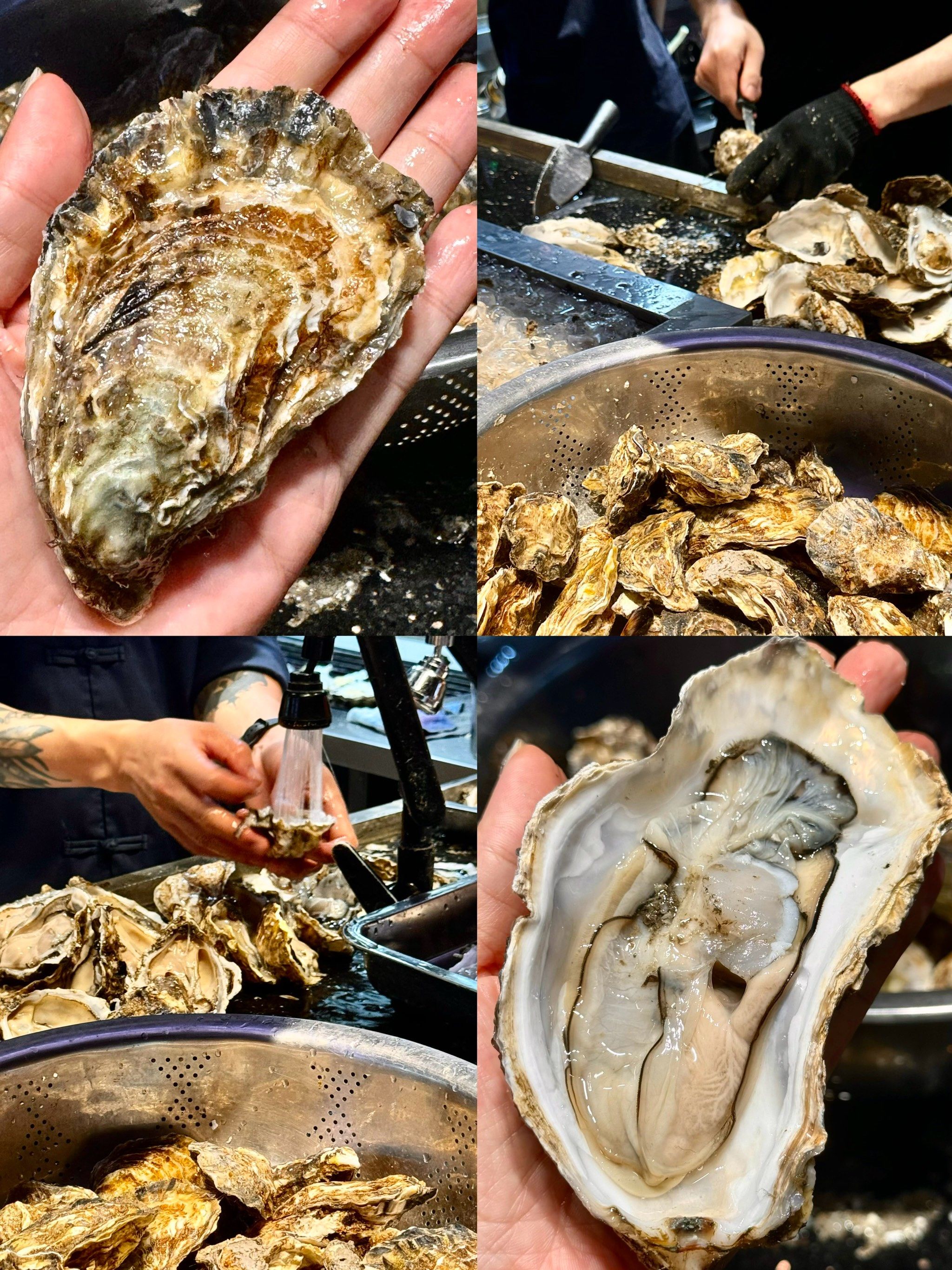 96奥运冠军05家乡同款特产～湛江生蚝0404