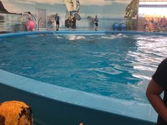 -尼莫海豚馆