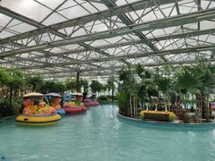 -南宫五洲植物乐园